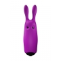 Pocket vibe lapin violet - Adrien Lastic